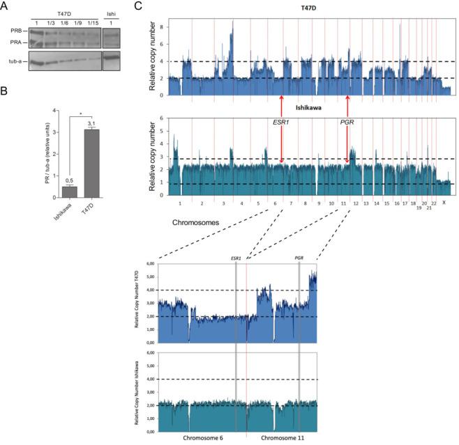 https://cdn.ncbi.nlm.nih.gov/pmc/blobs/8270/8887898/899ad2574ec1/elife-66034-fig1-figsupp3.jpg