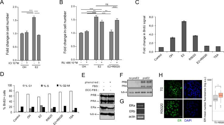 https://cdn.ncbi.nlm.nih.gov/pmc/blobs/8270/8887898/a266785317c7/elife-66034-fig1-figsupp1.jpg