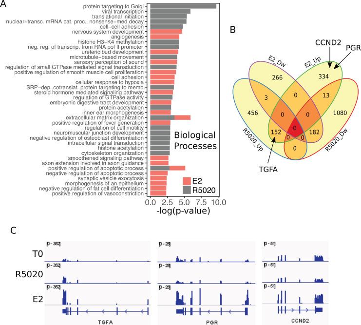 https://cdn.ncbi.nlm.nih.gov/pmc/blobs/8270/8887898/a76a4aed385d/elife-66034-fig1-figsupp2.jpg