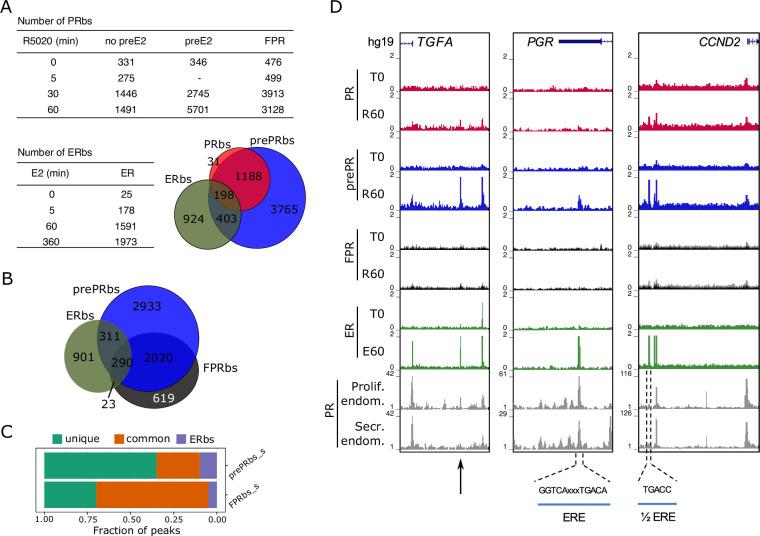 https://cdn.ncbi.nlm.nih.gov/pmc/blobs/8270/8887898/d2b4a3445569/elife-66034-fig2.jpg