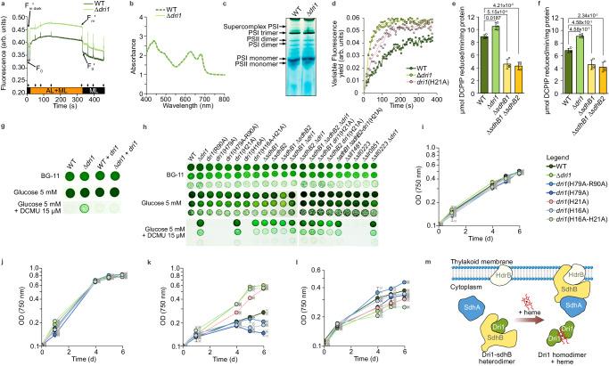 https://cdn.ncbi.nlm.nih.gov/pmc/blobs/8274/11014987/b1a2187c7d20/41467_2024_47486_Fig6_HTML.jpg