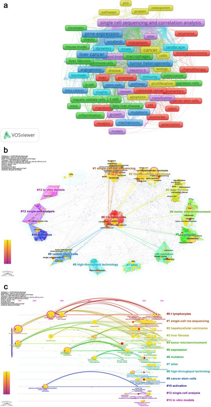 https://cdn.ncbi.nlm.nih.gov/pmc/blobs/8275/11793707/af985807e5a6/432_2024_5855_Fig10a_HTML.jpg