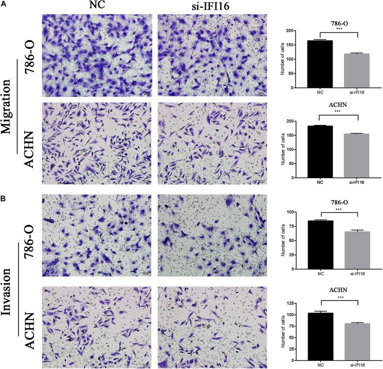 https://cdn.ncbi.nlm.nih.gov/pmc/blobs/8275/7917296/45f769dc962d/fgene-12-599952-g006.jpg