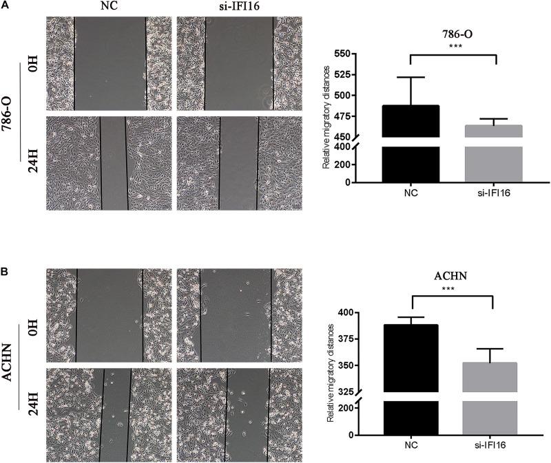 https://cdn.ncbi.nlm.nih.gov/pmc/blobs/8275/7917296/dd4b9c2a3727/fgene-12-599952-g005.jpg