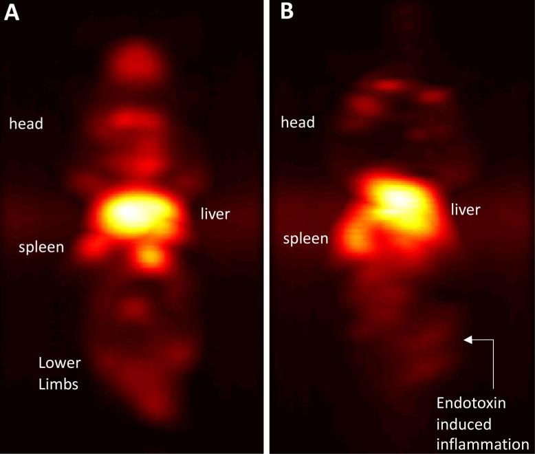 https://cdn.ncbi.nlm.nih.gov/pmc/blobs/8276/7893534/117363b50c6c/ntnov05p0240g006.jpg