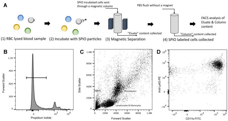 https://cdn.ncbi.nlm.nih.gov/pmc/blobs/8276/7893534/27ec7afa79b1/ntnov05p0240g011.jpg