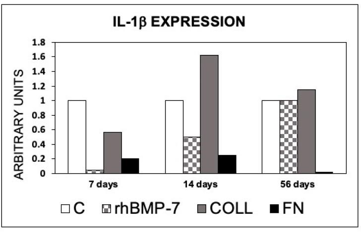https://cdn.ncbi.nlm.nih.gov/pmc/blobs/8276/8123155/d774d8c05d6c/materials-14-02185-g010.jpg