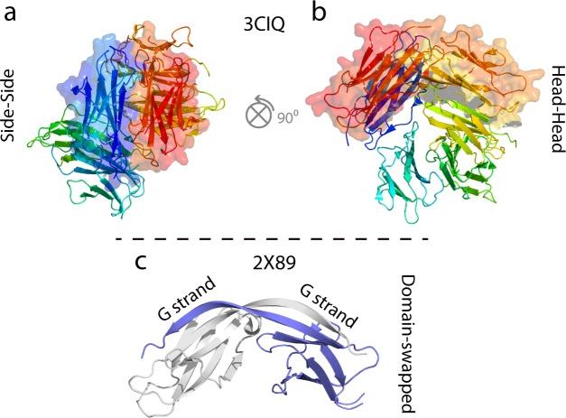 https://cdn.ncbi.nlm.nih.gov/pmc/blobs/8278/6783270/c837c39a5cf2/elife-46574-fig8-figsupp2.jpg