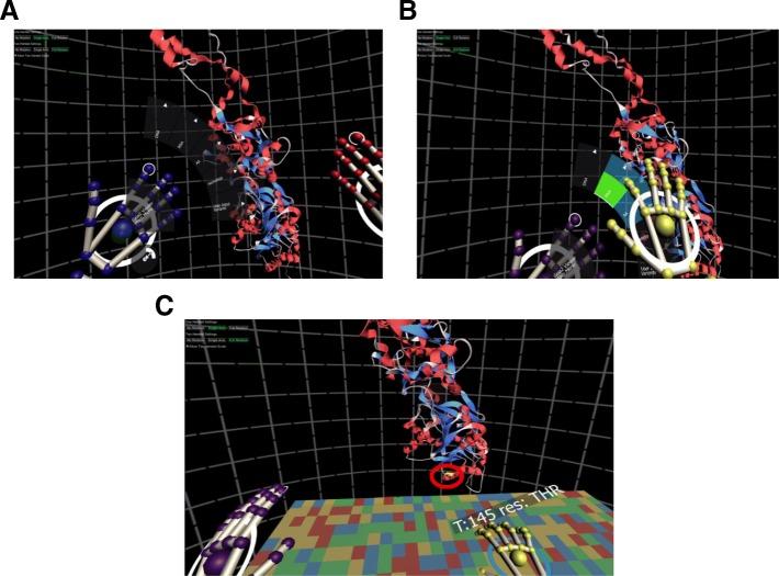 https://cdn.ncbi.nlm.nih.gov/pmc/blobs/827c/6376704/3598748f6c07/12859_2019_2666_Fig5_HTML.jpg