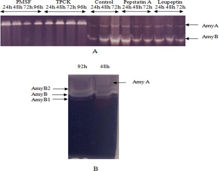 https://cdn.ncbi.nlm.nih.gov/pmc/blobs/827e/4839703/5c1457bf5b8a/pone.0153868.g001.jpg