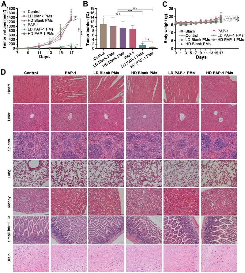 https://cdn.ncbi.nlm.nih.gov/pmc/blobs/827f/11986873/b67428e84f1a/IDRD_A_2490269_F0008_C.jpg