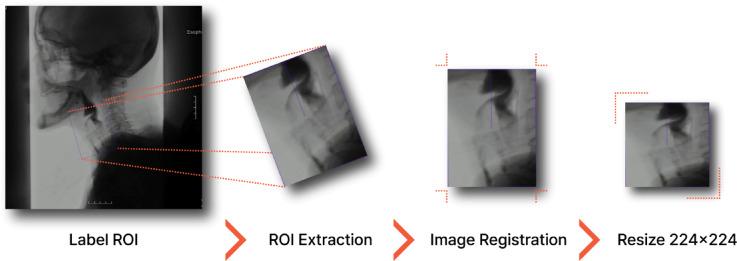 https://cdn.ncbi.nlm.nih.gov/pmc/blobs/8281/12234746/63b0e24aab4b/41598_2025_10397_Fig1_HTML.jpg