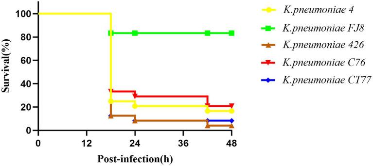 https://cdn.ncbi.nlm.nih.gov/pmc/blobs/8281/8482011/d88b9b9a4653/fmicb-12-702956-g002.jpg