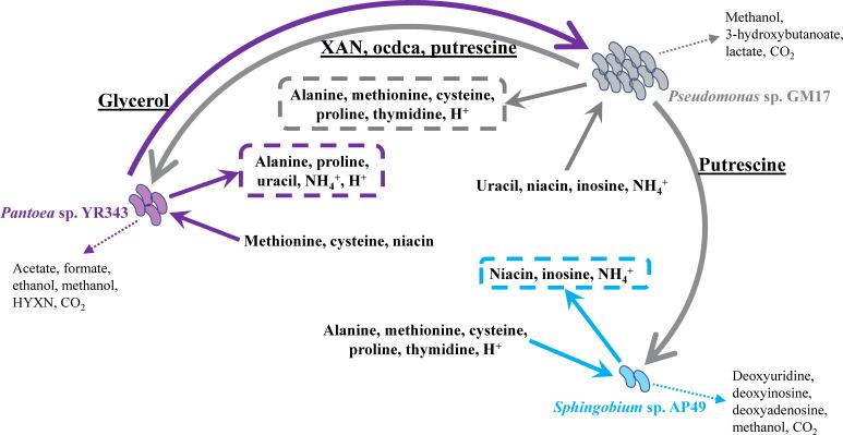 https://cdn.ncbi.nlm.nih.gov/pmc/blobs/8282/11019790/b2fa76efc21f/msystems.00006-24.f005.jpg