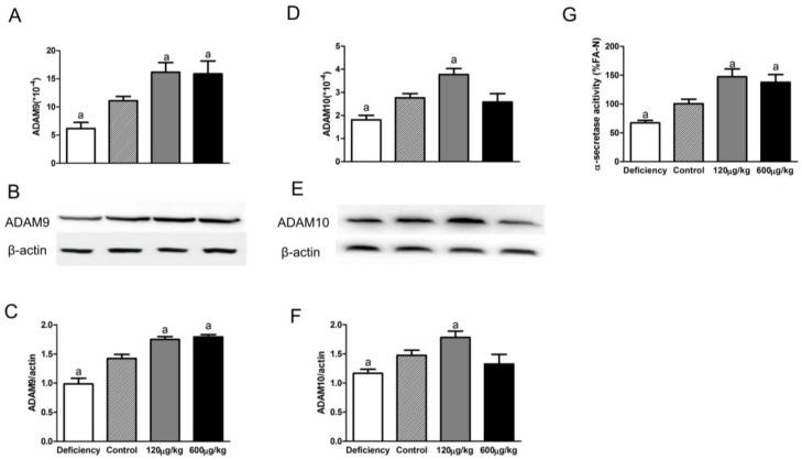https://cdn.ncbi.nlm.nih.gov/pmc/blobs/8282/5037541/f201e81fbc76/nutrients-08-00556-g002.jpg