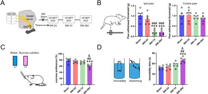 https://cdn.ncbi.nlm.nih.gov/pmc/blobs/8283/12012082/c85741b7037a/41598_2025_97164_Fig1_HTML.jpg