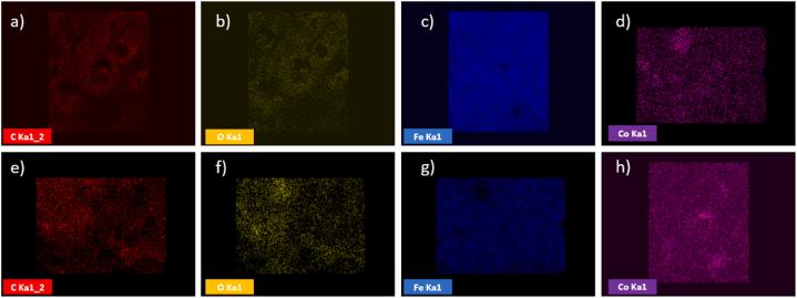 https://cdn.ncbi.nlm.nih.gov/pmc/blobs/8286/9958450/4cccf90690d8/gr4.jpg