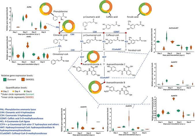 https://cdn.ncbi.nlm.nih.gov/pmc/blobs/8288/11126498/d29b355a55c3/425_2024_4435_Fig7_HTML.jpg
