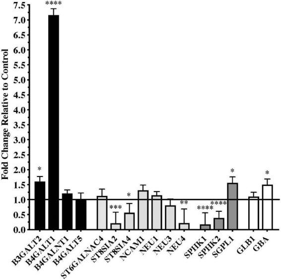 https://cdn.ncbi.nlm.nih.gov/pmc/blobs/828a/9729268/c7f4889982ad/fnmol-15-1078854-g001.jpg