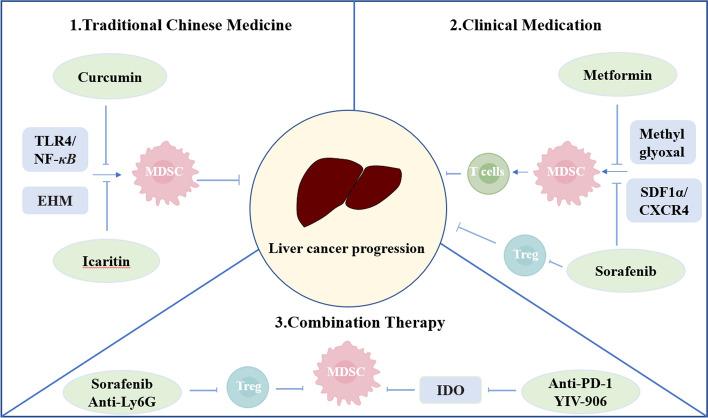 https://cdn.ncbi.nlm.nih.gov/pmc/blobs/828b/10203092/bd90f4f699fa/12672_2023_681_Fig2_HTML.jpg
