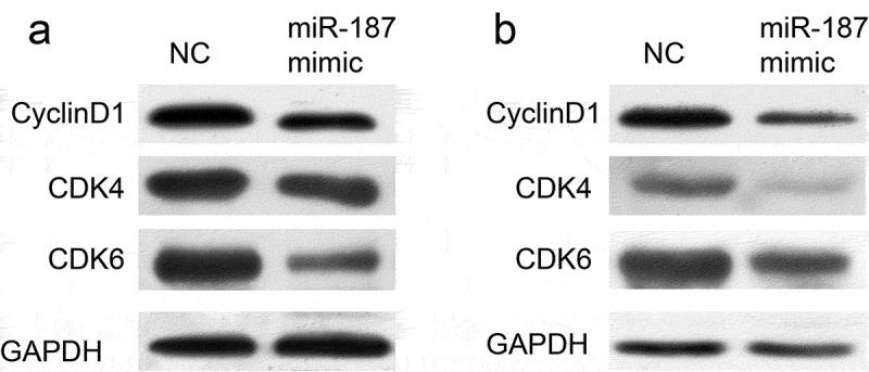 https://cdn.ncbi.nlm.nih.gov/pmc/blobs/828c/6961586/a015585ea26a/kbie-11-01-1706287-g006.jpg