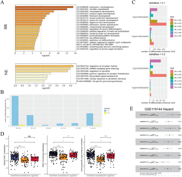 https://cdn.ncbi.nlm.nih.gov/pmc/blobs/8290/11430167/3a4bd70bdd16/peerj-12-18159-g003.jpg