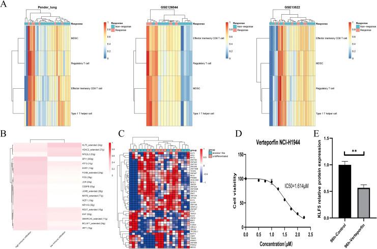https://cdn.ncbi.nlm.nih.gov/pmc/blobs/8290/11430167/611a5de4a015/peerj-12-18159-g005.jpg