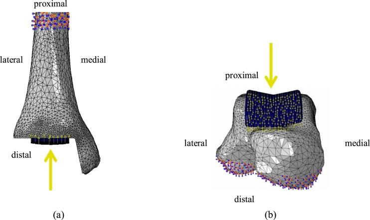 https://cdn.ncbi.nlm.nih.gov/pmc/blobs/8290/5360194/15b560430a4c/gr4.jpg