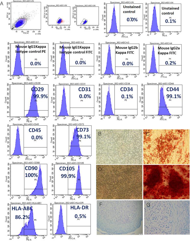 https://cdn.ncbi.nlm.nih.gov/pmc/blobs/8291/11571884/3e5c85c34cda/13075_2024_3435_Fig1_HTML.jpg