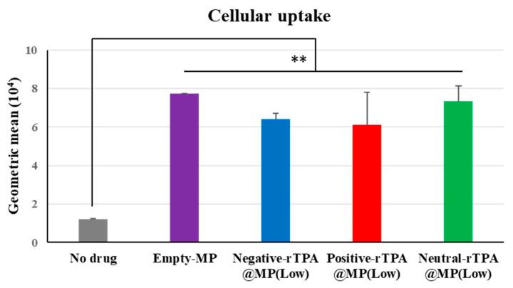 https://cdn.ncbi.nlm.nih.gov/pmc/blobs/8293/11050504/f5ca3ec34515/ijms-25-04294-g006.jpg
