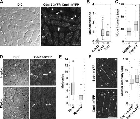https://cdn.ncbi.nlm.nih.gov/pmc/blobs/8295/3257534/fde50149f2af/JCB_201106078_GS_Fig1.jpg