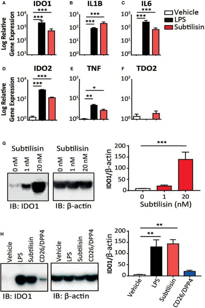 https://cdn.ncbi.nlm.nih.gov/pmc/blobs/8295/8964980/185618be47fc/fimmu-13-832989-g001.jpg