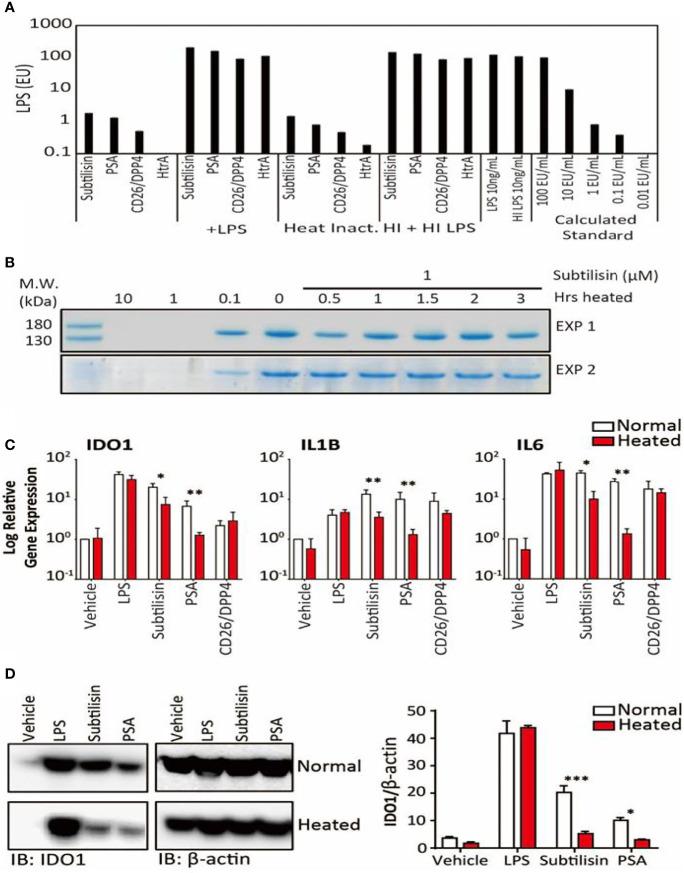 https://cdn.ncbi.nlm.nih.gov/pmc/blobs/8295/8964980/aa86f021eb9f/fimmu-13-832989-g005.jpg