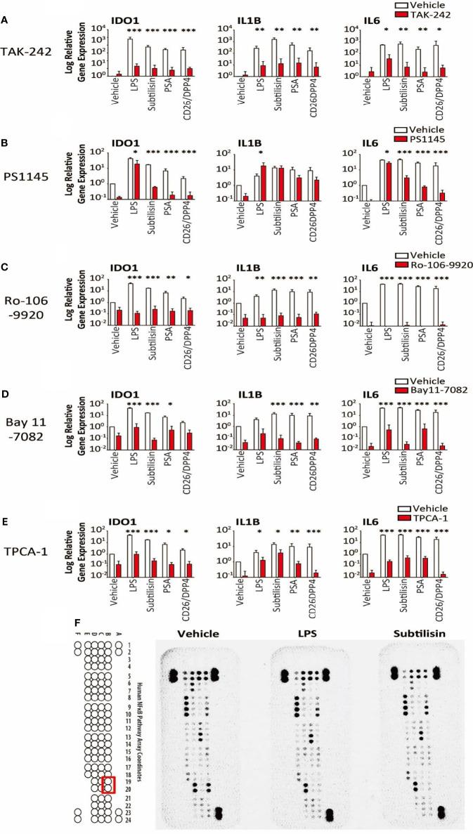 https://cdn.ncbi.nlm.nih.gov/pmc/blobs/8295/8964980/d9149c576e07/fimmu-13-832989-g006.jpg