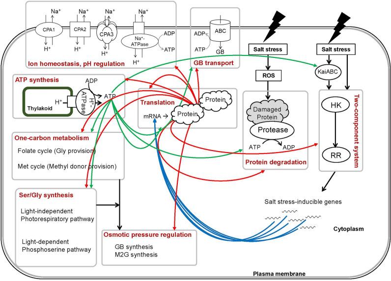https://cdn.ncbi.nlm.nih.gov/pmc/blobs/8295/9374696/30e8e33811a8/41598_2022_17406_Fig5_HTML.jpg