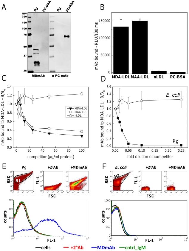 https://cdn.ncbi.nlm.nih.gov/pmc/blobs/8296/3320647/d80b4bb065d2/pone.0034910.g001.jpg