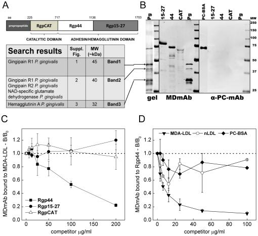 https://cdn.ncbi.nlm.nih.gov/pmc/blobs/8296/3320647/f998694cb0e5/pone.0034910.g002.jpg