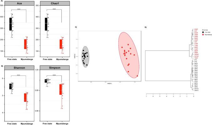 https://cdn.ncbi.nlm.nih.gov/pmc/blobs/8297/12318886/dfc1db7b64a9/284_2025_4404_Fig1_HTML.jpg