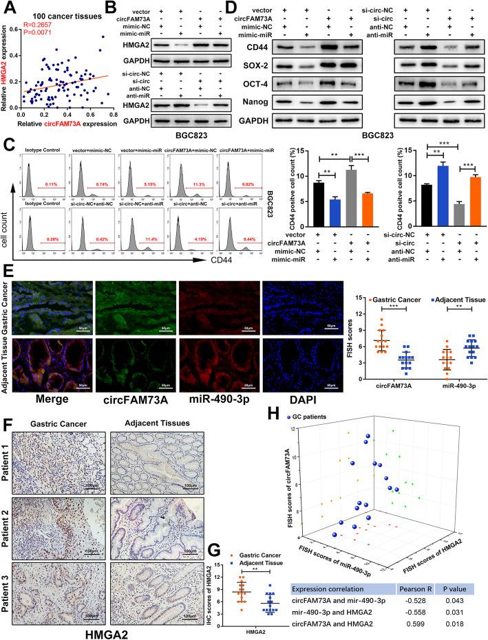 https://cdn.ncbi.nlm.nih.gov/pmc/blobs/8298/7972245/25b9aaf14416/13046_2021_1896_Fig5_HTML.jpg