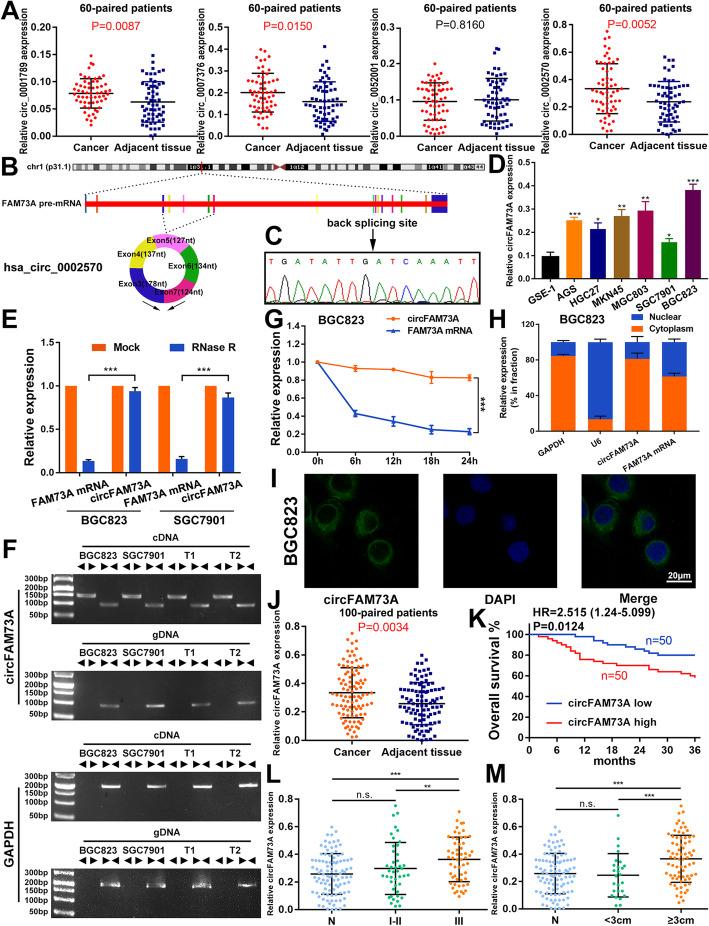 https://cdn.ncbi.nlm.nih.gov/pmc/blobs/8298/7972245/b0fb9a2ec98f/13046_2021_1896_Fig1_HTML.jpg