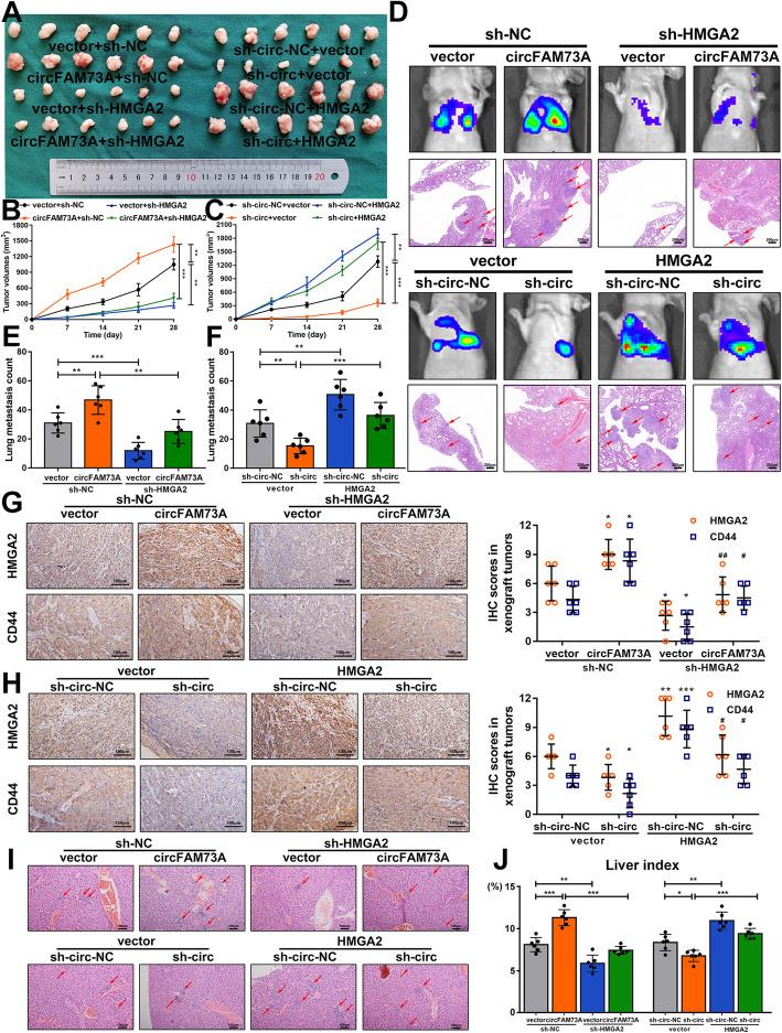 https://cdn.ncbi.nlm.nih.gov/pmc/blobs/8298/7972245/bc7e8ede93b7/13046_2021_1896_Fig7_HTML.jpg