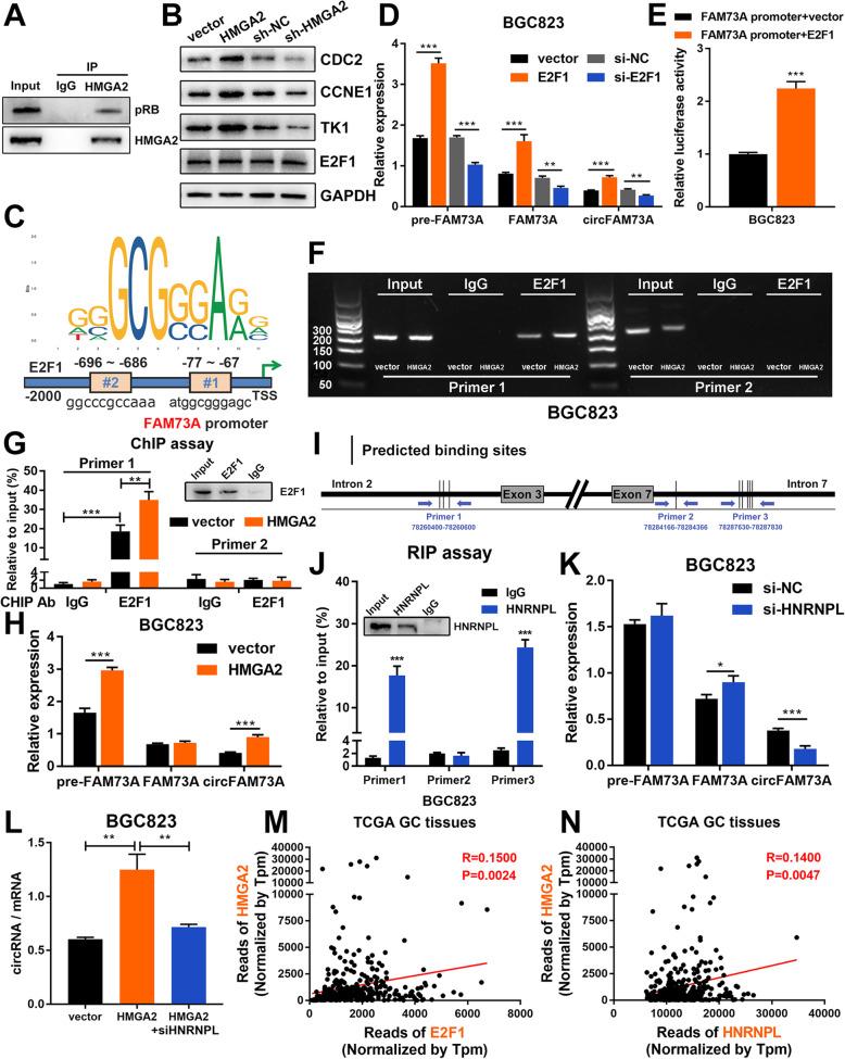 https://cdn.ncbi.nlm.nih.gov/pmc/blobs/8298/7972245/c45d49819b1a/13046_2021_1896_Fig8_HTML.jpg