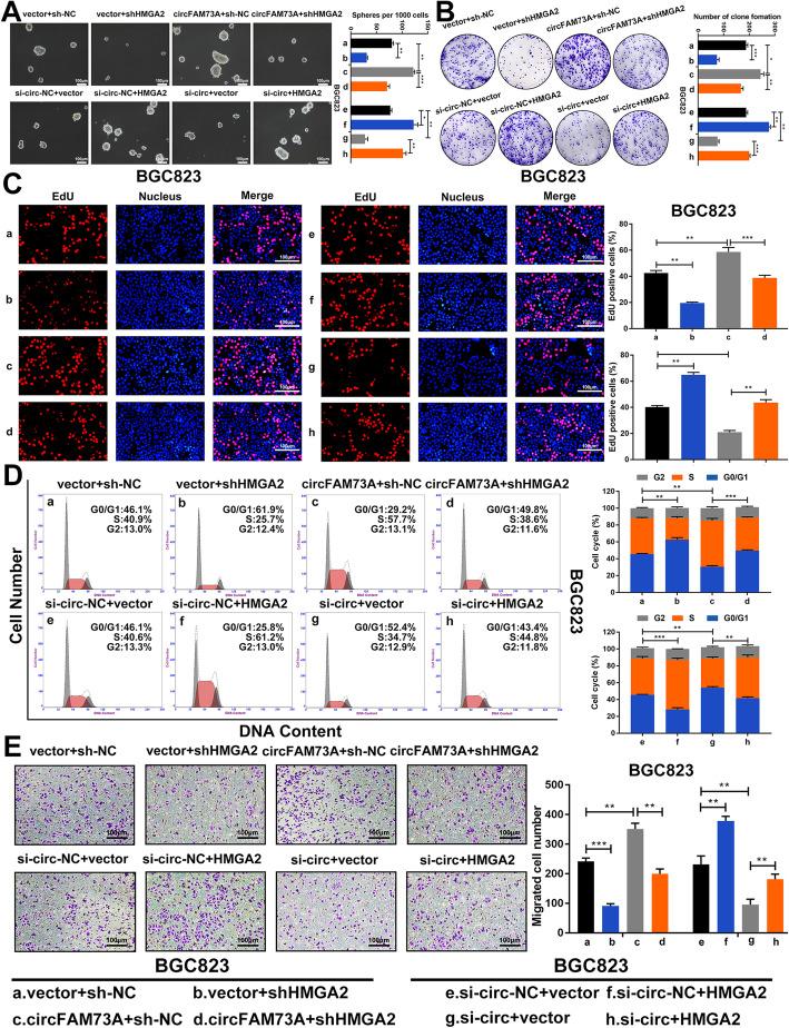 https://cdn.ncbi.nlm.nih.gov/pmc/blobs/8298/7972245/d0c0402c7433/13046_2021_1896_Fig6_HTML.jpg