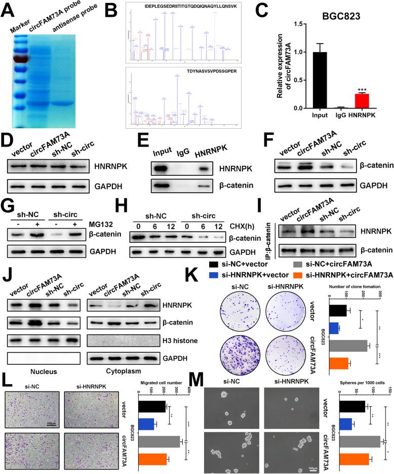 https://cdn.ncbi.nlm.nih.gov/pmc/blobs/8298/7972245/d557ecbac018/13046_2021_1896_Fig9_HTML.jpg