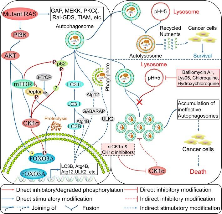 https://cdn.ncbi.nlm.nih.gov/pmc/blobs/829a/5968562/17d1f0d4d042/12964_2018_236_Fig6_HTML.jpg