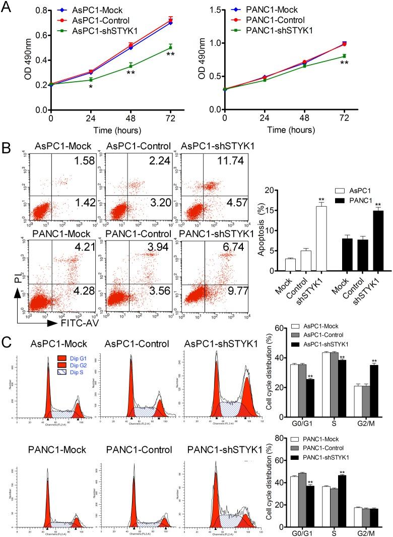 https://cdn.ncbi.nlm.nih.gov/pmc/blobs/829b/5762325/c429ab516eba/oncotarget-08-111333-g006.jpg