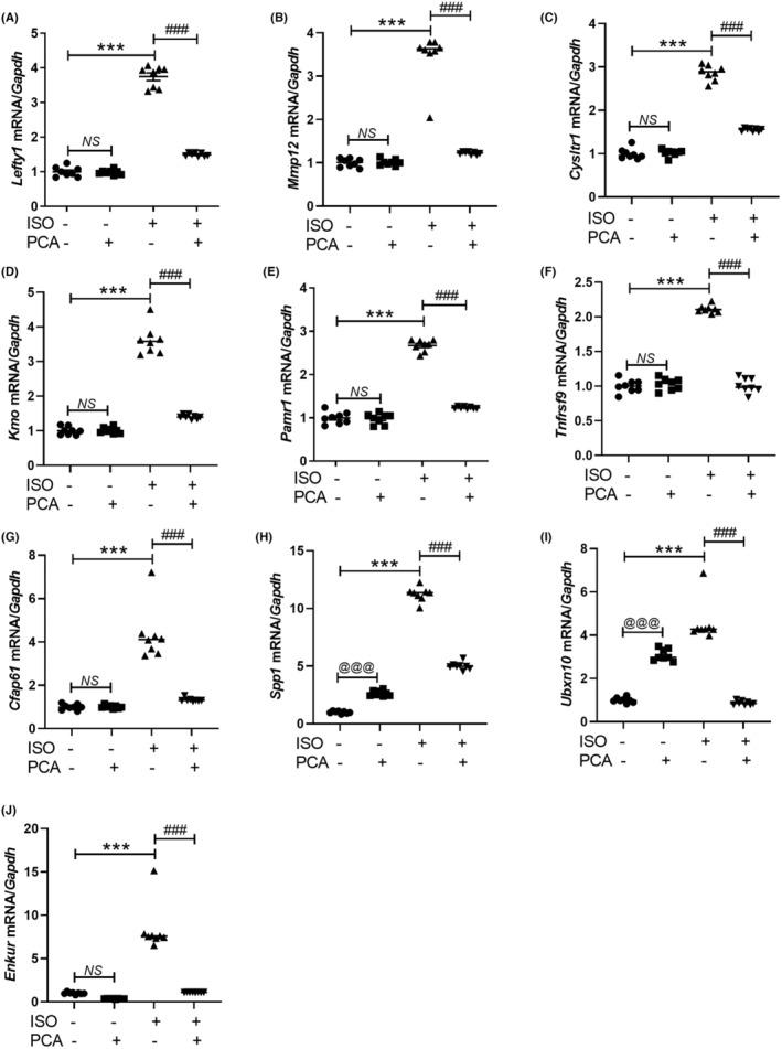 https://cdn.ncbi.nlm.nih.gov/pmc/blobs/829d/10424289/829c903a18a6/JCMM-27-2290-g001.jpg