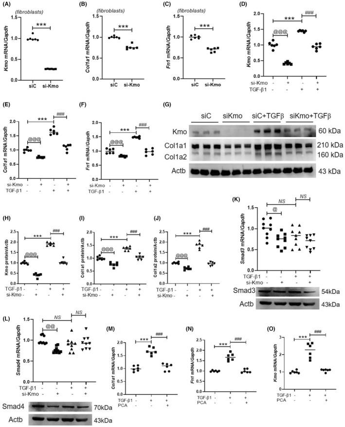 https://cdn.ncbi.nlm.nih.gov/pmc/blobs/829d/10424289/bd7ba4fa4db6/JCMM-27-2290-g004.jpg