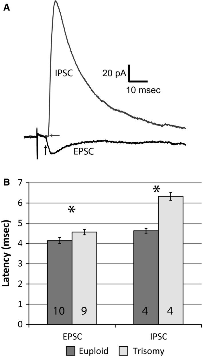 https://cdn.ncbi.nlm.nih.gov/pmc/blobs/829e/4760451/14827fb5f524/PHY2-3-e12655-g005.jpg