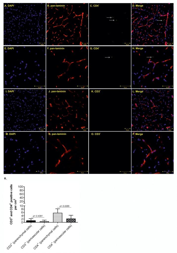 https://cdn.ncbi.nlm.nih.gov/pmc/blobs/829f/6532920/494371aee644/pone.0217216.g002.jpg